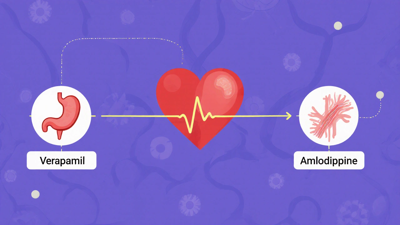 Compare Isoptin (Verapamil) with Alternatives: What Works Best for High Blood Pressure and Angina