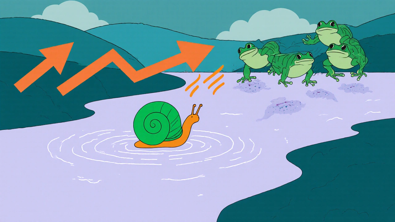 River valley with rising temperature arrows, invasive snail, and frogs carrying parasites.