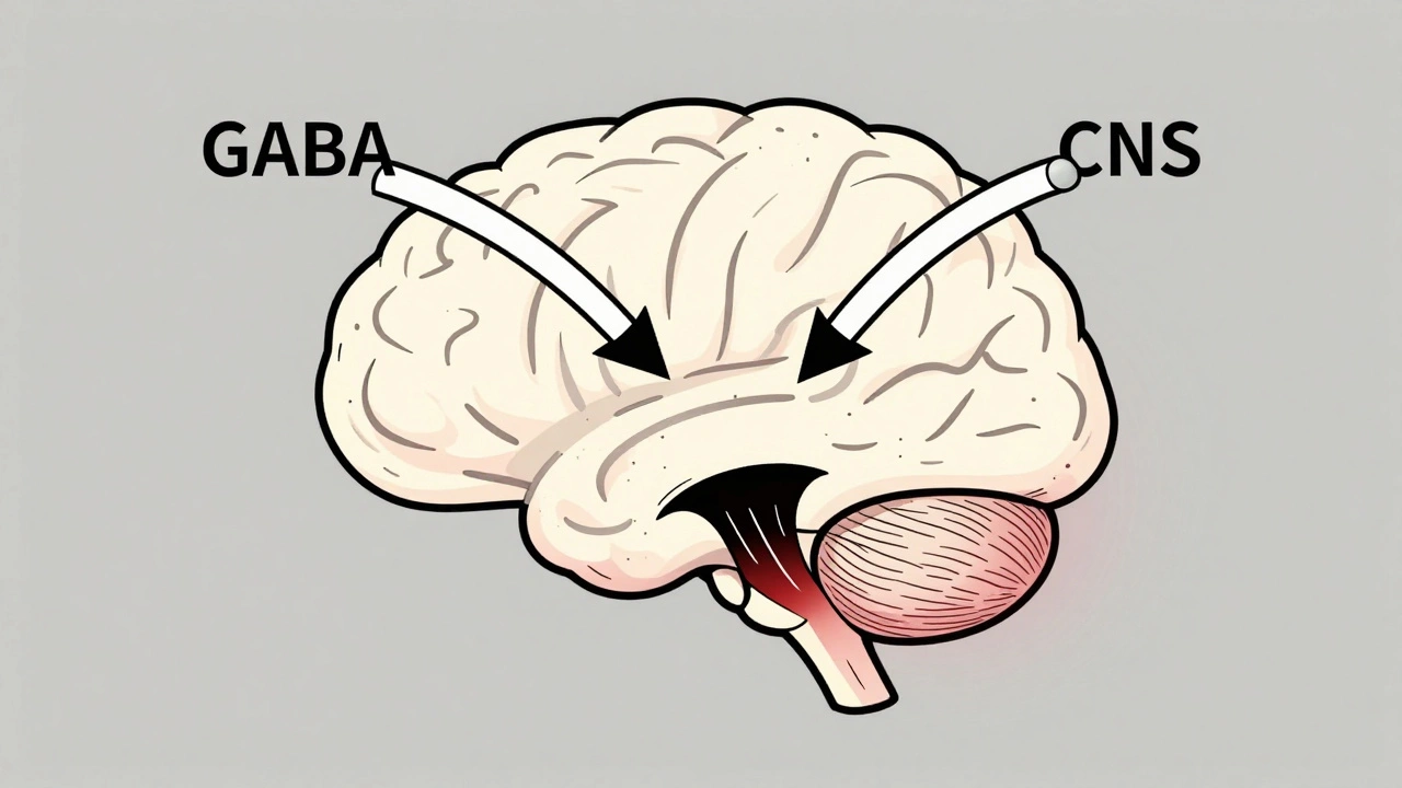 A minimalist brain with overlapping GABA signals causing a dangerous dip in activity.