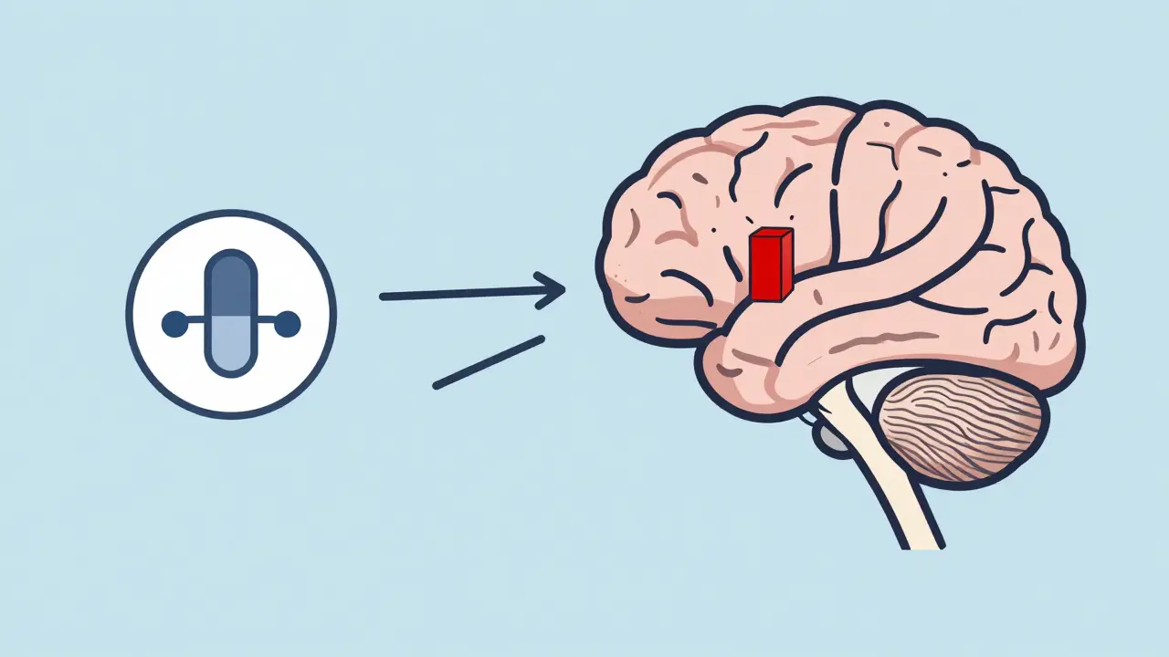 Opioid-Induced Adrenal Insufficiency: A Rare but Life-Threatening Side Effect You Might Not Know About