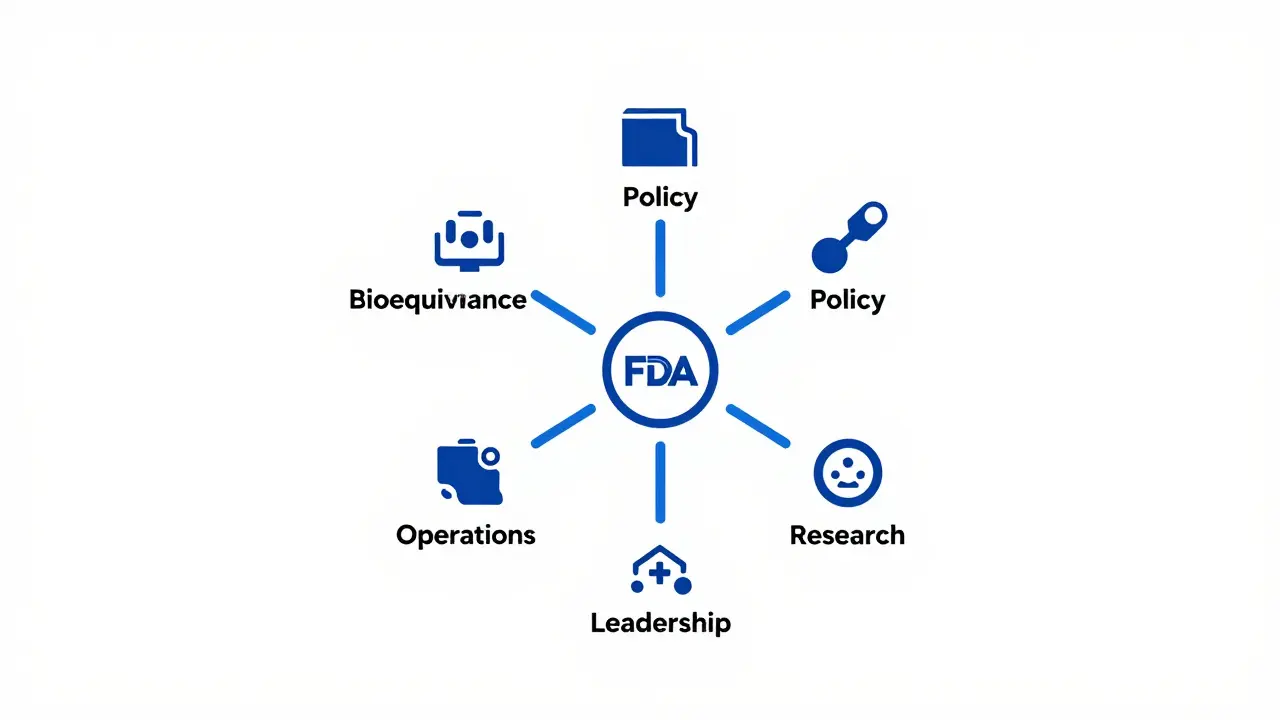 Abstract diagram of FDA OGD's five sub-offices as connected geometric icons.