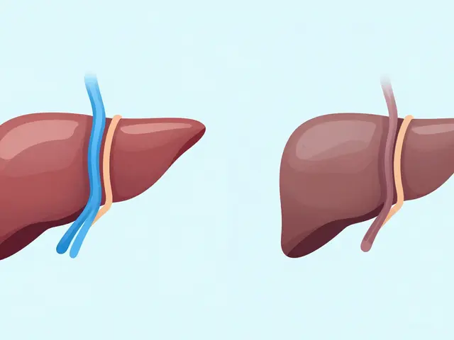 How Aging Liver and Kidneys Change Drug Metabolism in Older Adults